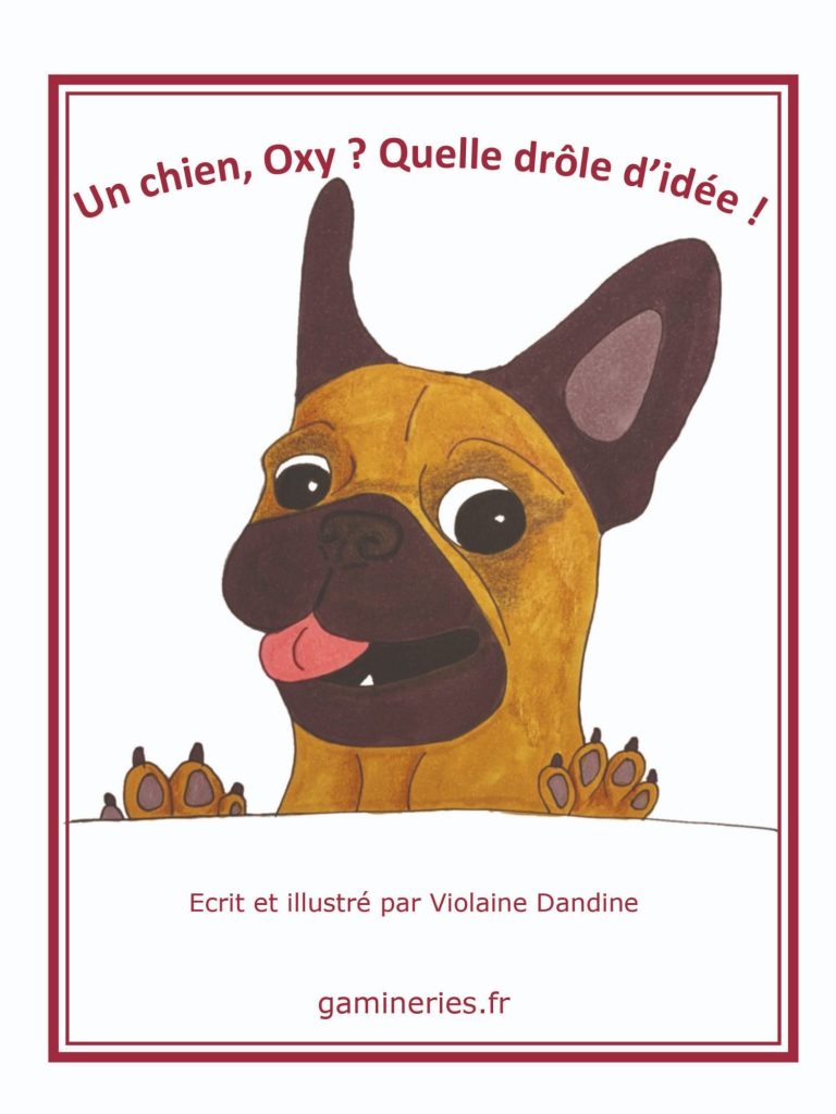 Sur les traces des Gallo-Romains - Couverture Livre jeunesse de fiction documentaire