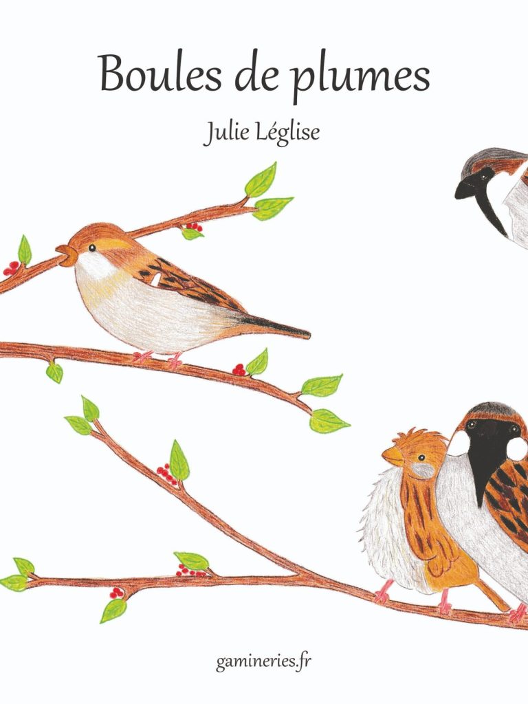 Sur les traces des Gallo-Romains - Couverture Livre jeunesse de fiction documentaire